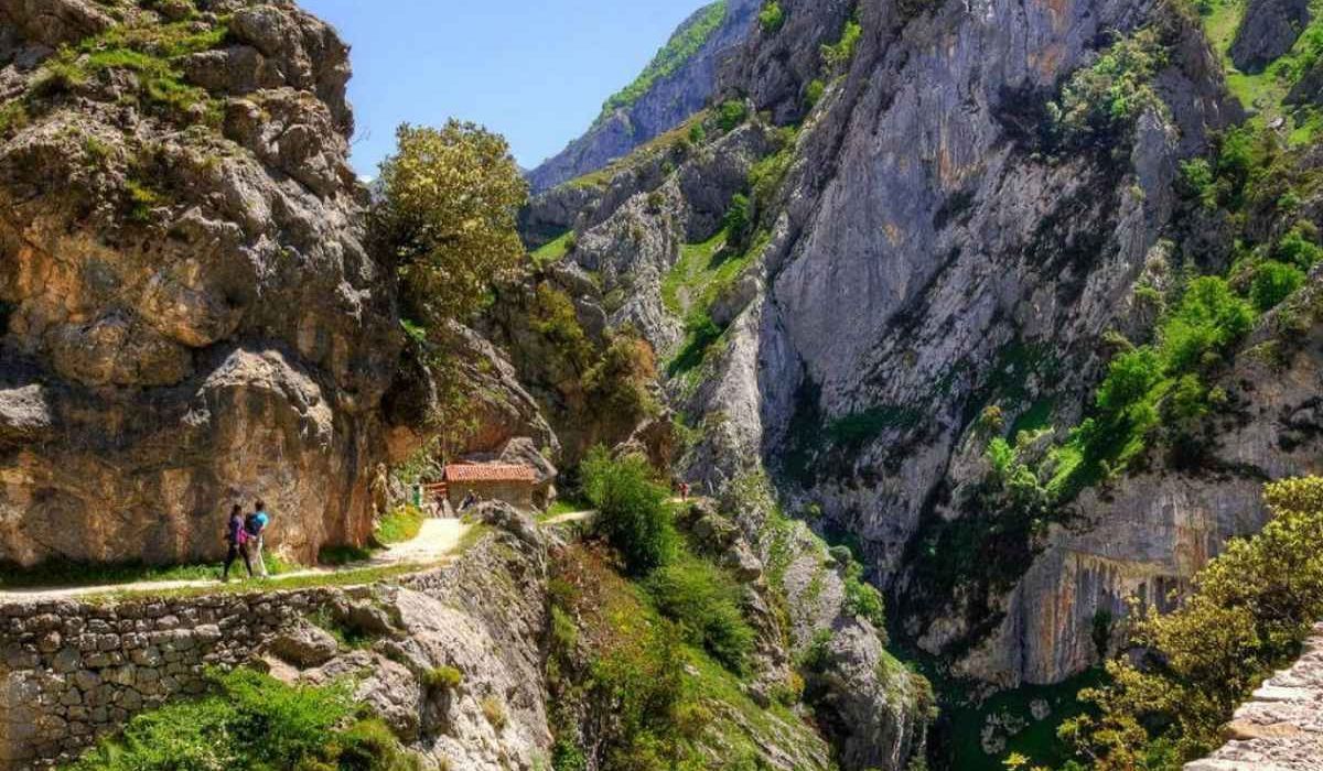 Casa Rural en Villahormes con Rutas Guiadas por los Picos de Europa: Tu Escapada Perfecta en Asturias