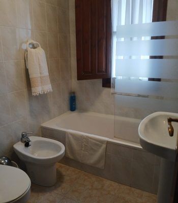 Baño1